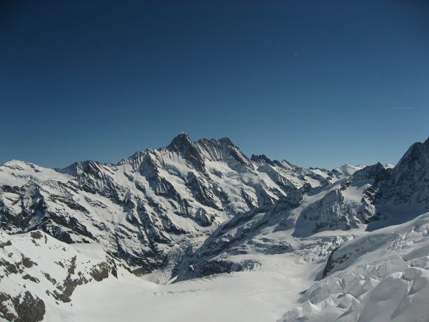 Schreckhorn in Lauteraarhorn Schreckhorn in Lauteraarhorn